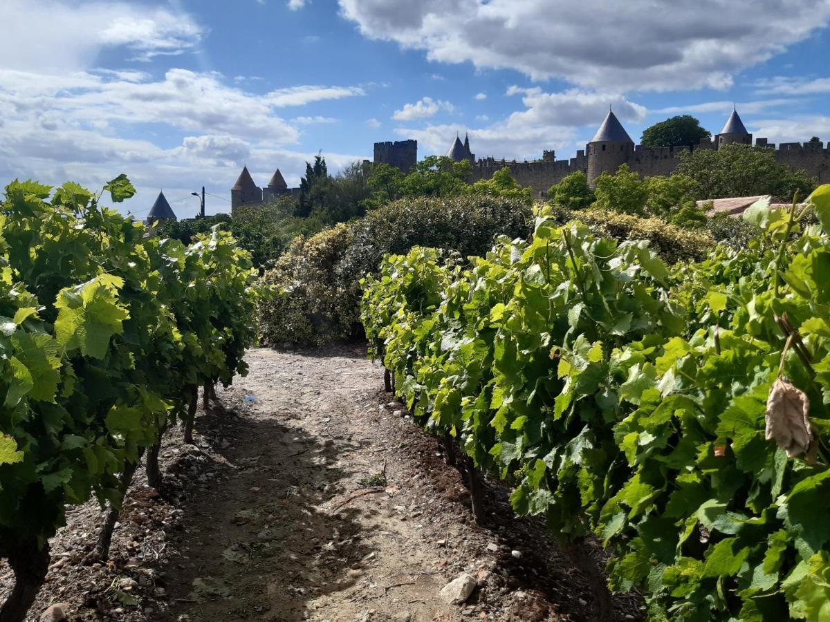Domaine Fontgrande Gite Carcassonne Ngoại thất bức ảnh