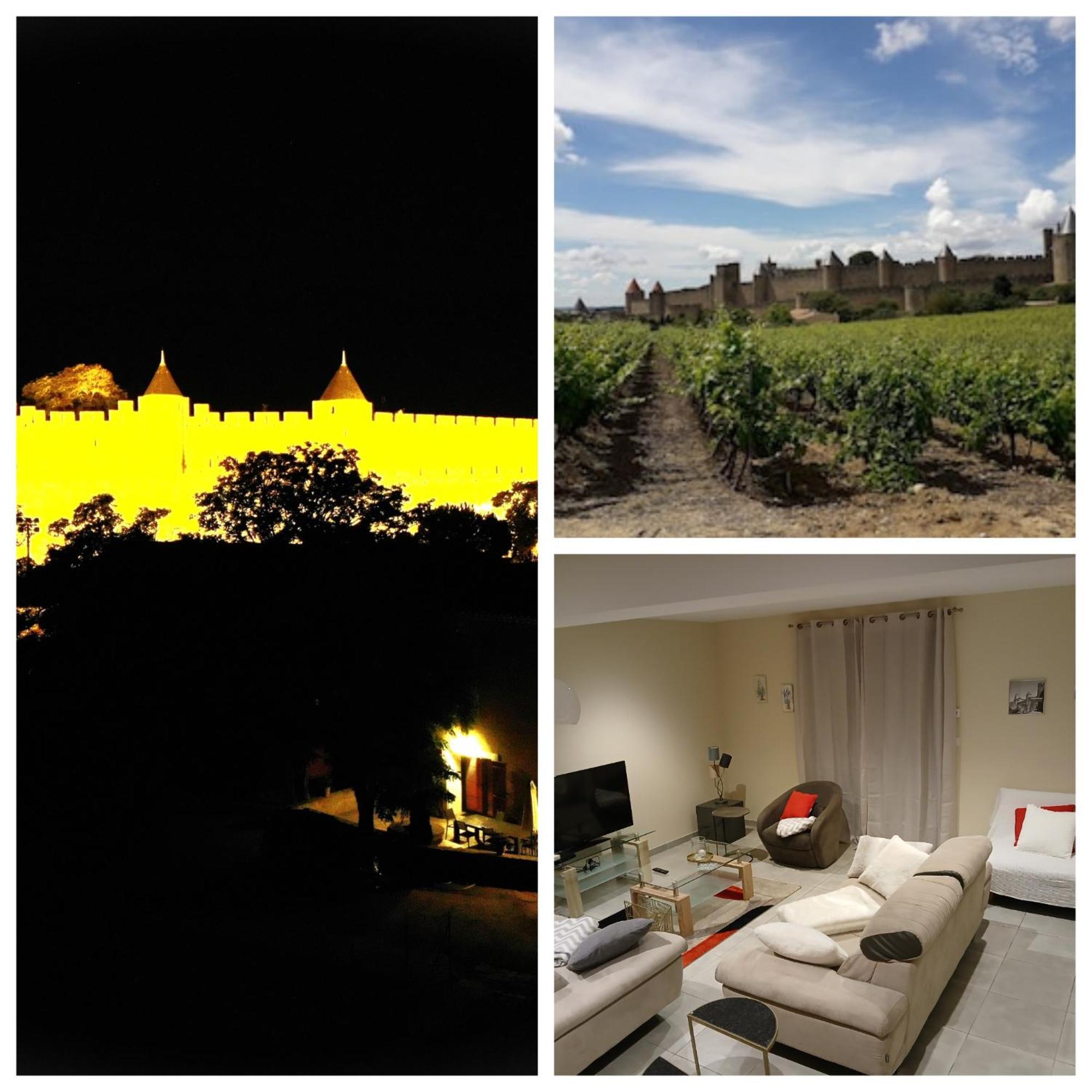 Domaine Fontgrande Gite Carcassonne Ngoại thất bức ảnh