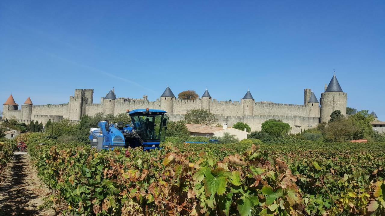 Domaine Fontgrande Gite Carcassonne Ngoại thất bức ảnh