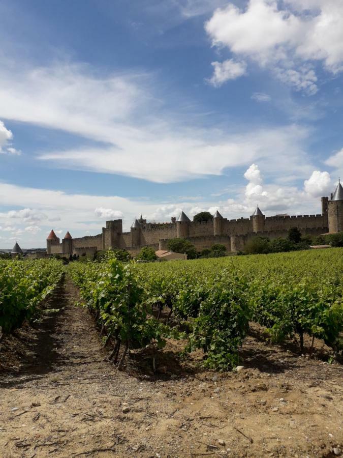 Domaine Fontgrande Gite Carcassonne Ngoại thất bức ảnh